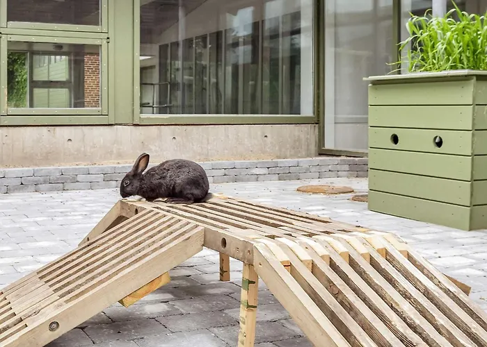 Сasa de vacaciones Type2 In